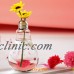 Little Transparent Stand Light Bulb Plant Flower Glass Vase Hydroponic Container   112002841733